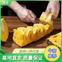 【热卖】海南菠萝蜜，产地直发，常年供货，一手货源