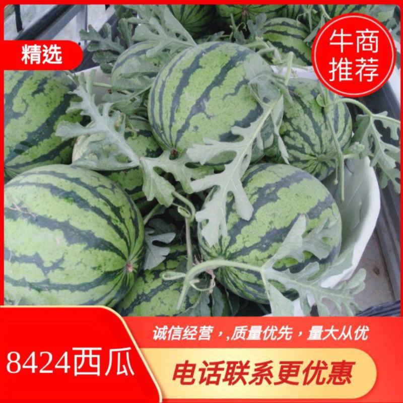 美都！西瓜产地直供，新鲜采摘口感特别好甜度高皮薄