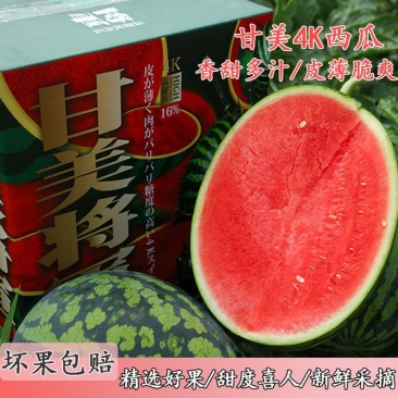 【推荐】陕西甘美4K西瓜产地直发皮薄汁甜对接电商批发商