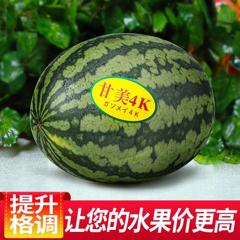 【推荐】陕西甘美4K西瓜产地直发皮薄汁甜对接电商批发商