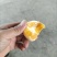 夏橙