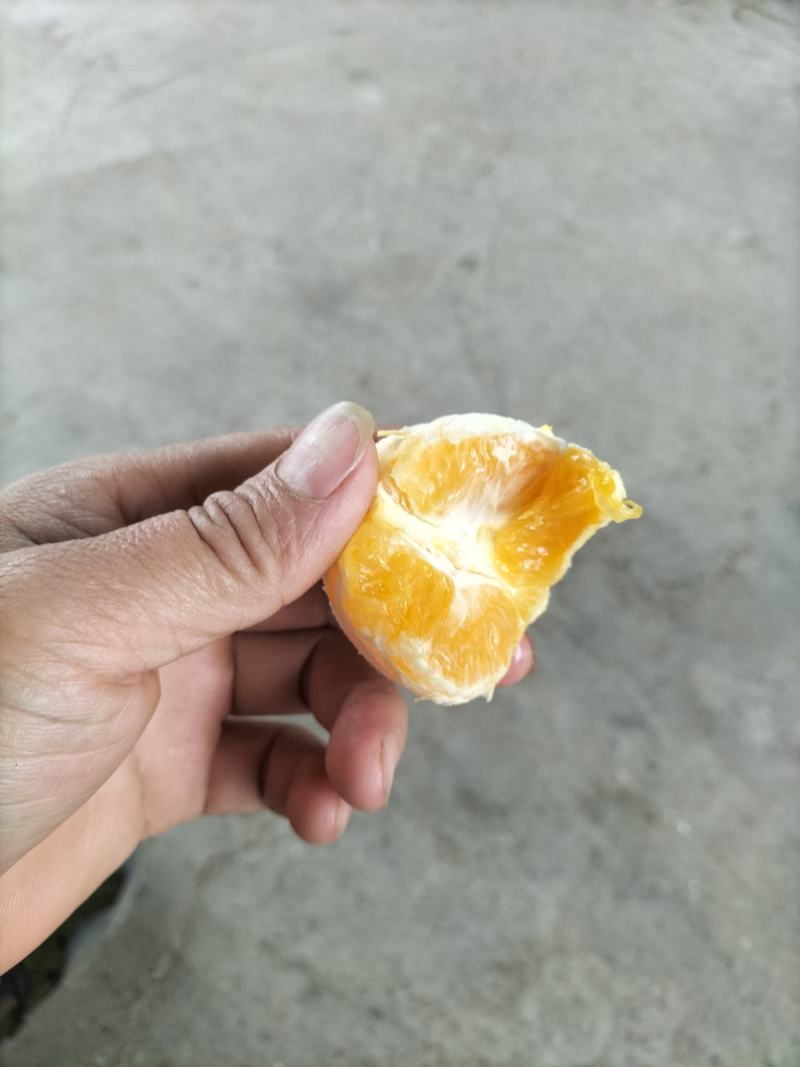夏橙