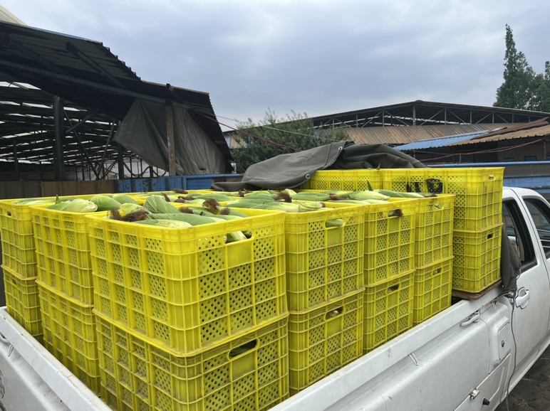 非洲乡村玉米交易市场场景