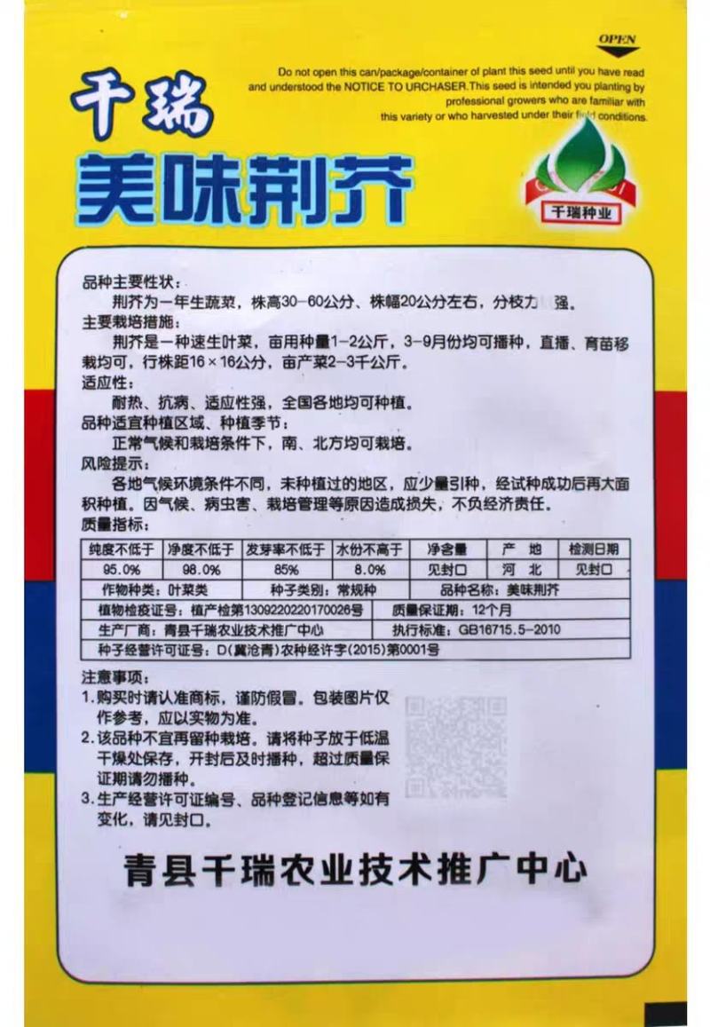 大叶荊芥种子，耐热、抗病、适应性强，全国各地均可种植。