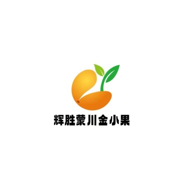 有机沙棘原汁