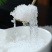 【精品雪燕】缅甸拉丝雪燕产地批发一手货源价格美丽荐