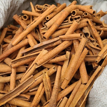 广西精品足干桂皮烟桂各种规格一手货源供应
