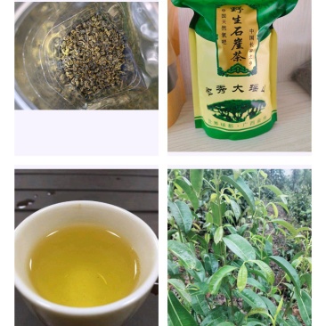 广西来宾金秀大瑶涯壁茶