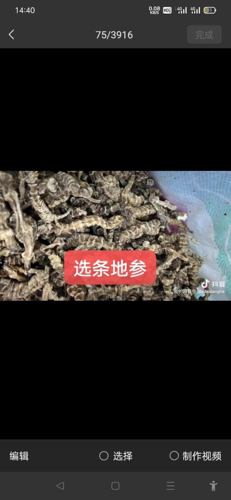 选条地参