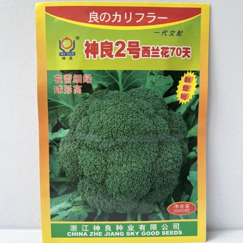 神良2号西兰花种子，2000粒，神良3号，花蕾细绿