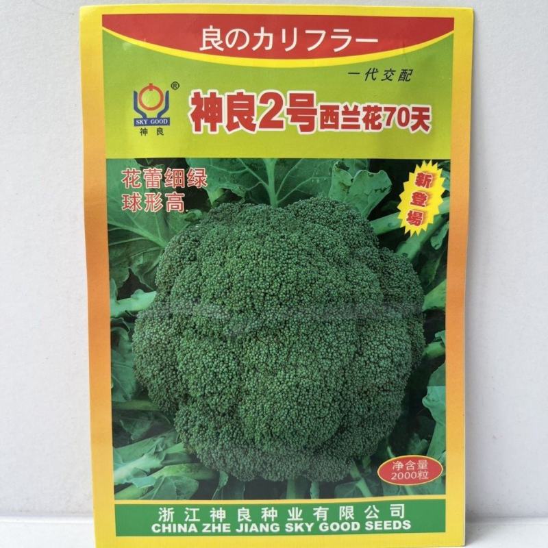 神良2号西兰花种子，2000粒，神良3号，花蕾细绿