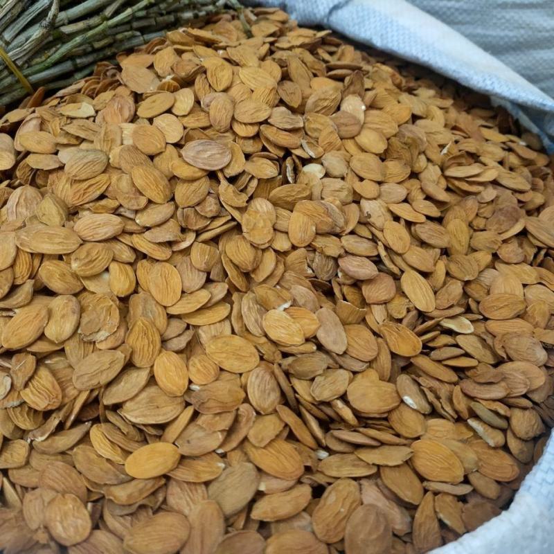 正品桃仁中药药用100克包邮生桃仁中药材山桃仁泡