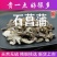 【野生石菖蒲】甄选正品新鲜野生大别山石菖蒲新鲜水菖蒲新品
