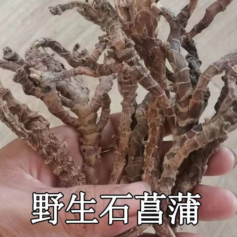 【野生石菖蒲】甄选正品新鲜野生大别山石菖蒲新鲜水菖蒲新品