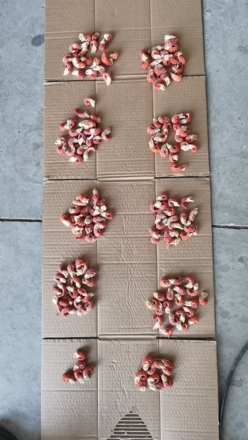 精品二级原料，175粒的货