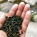 白芽奇兰茶百亩茶园加工生产一条龙大量供货欢迎来电