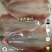 海鲫鱼双片