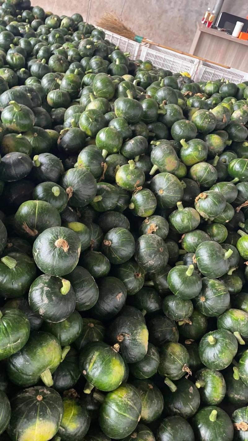 黑皮南瓜黑金刚