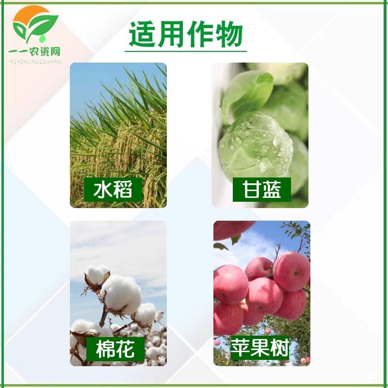 宝剑先正达阿维菌素氯虫苯甲果树甘蓝水稻菜蛾食心虫
