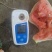 东北掉瓜大量上市