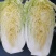 黄心大白菜