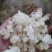 【精品雪燕】缅甸拉丝雪燕产地批发一手货源价格美丽荐