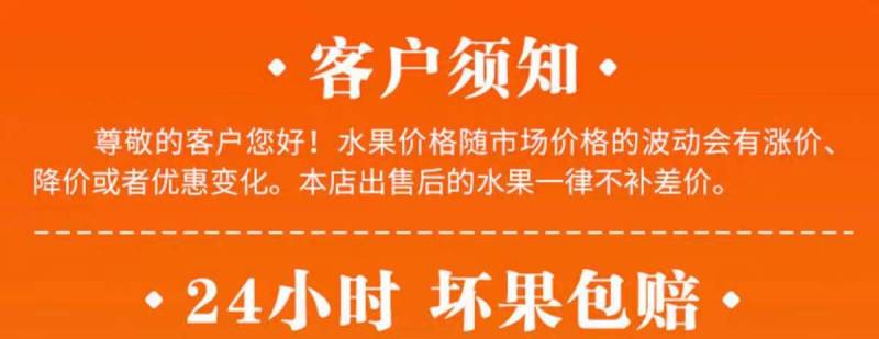 包邮四川米易枇杷琵琶新鲜水果枇杷果当季现摘高山大五星枇杷