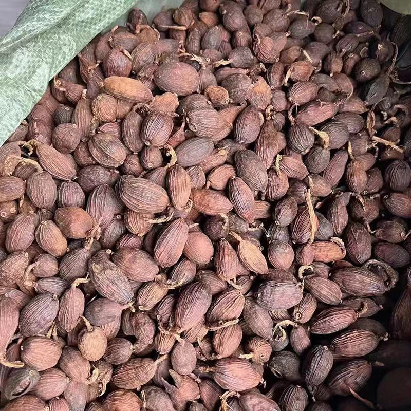 【剪把草果】精选云南草果剪杆草果颗粒饱满味道浓郁包邮