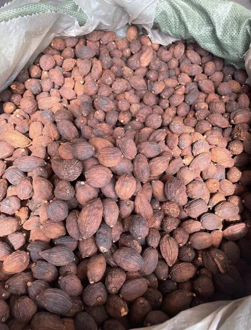 【剪把草果】精选云南草果剪杆草果颗粒饱满味道浓郁包邮