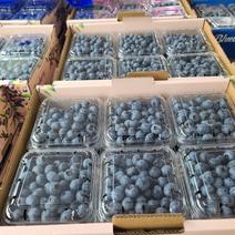 蓝莓通货，价格实惠