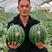 陕西甜王西瓜，日供20万斤，对接大型批发市场，电商平台