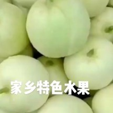 香妃甜瓜银辉香瓜