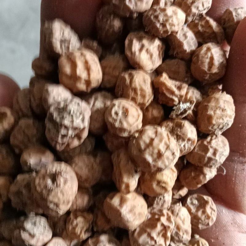 晃玉