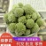 批发现货绿萝花西藏野生绿萝新货无硫黄雪里花诚信