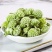 批发现货绿萝花西藏野生绿萝新货无硫黄雪里花诚信