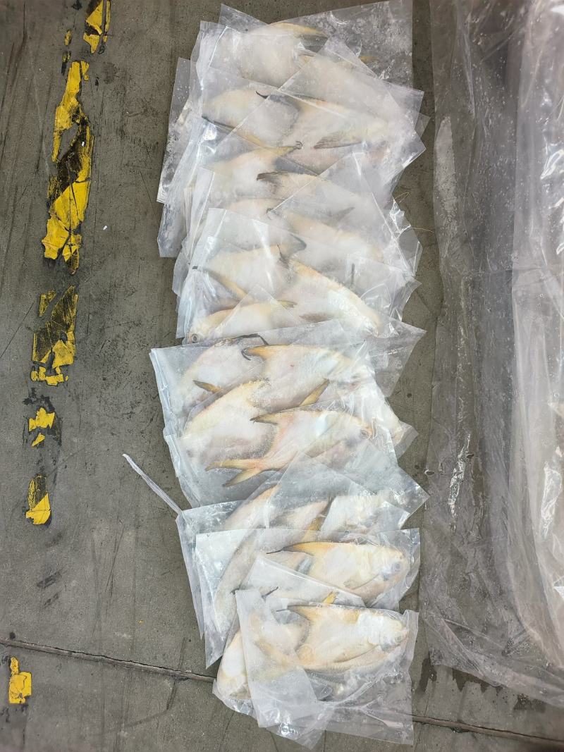 白鲳鱼深海鲳鱼白鲳鲳鱼海水鲳鱼深海鲳鱼白鲳鱼60/100