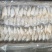 白鲳鱼深海鲳鱼白鲳鲳鱼海水鲳鱼深海鲳鱼白鲳鱼60/100