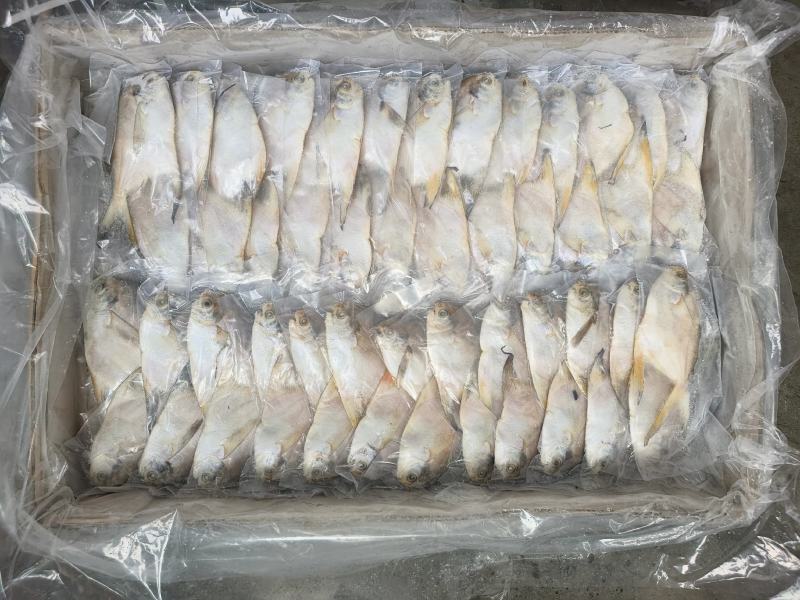 白鲳鱼深海鲳鱼白鲳鲳鱼海水鲳鱼深海鲳鱼白鲳鱼60/100