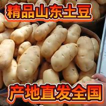 土豆，产地山东省临沂市郯城县。需要的客商可以来电咨询！