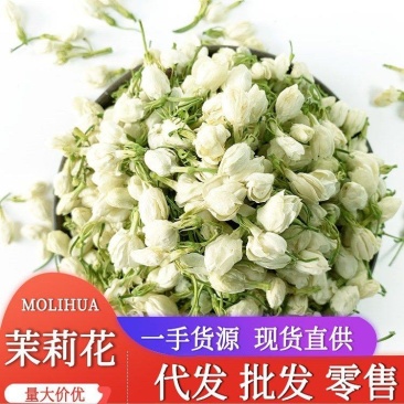 中药材批发现货茉莉花茶新鲜头茬无硫磺无杂质