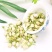中药材批发现货茉莉花茶新鲜头茬无硫磺无杂质