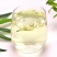 中药材批发现货茉莉花茶新鲜头茬无硫磺无杂质