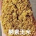 生物活菌发酵饲料