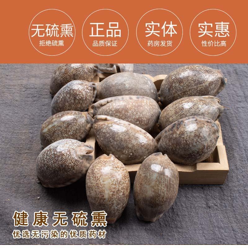老店信誉产品紫贝齿新货无硫规格齐全