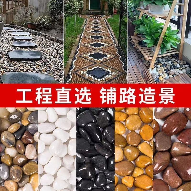 100斤精抛五彩鹅卵石庭院铺路石头园艺装饰抛光雨花石