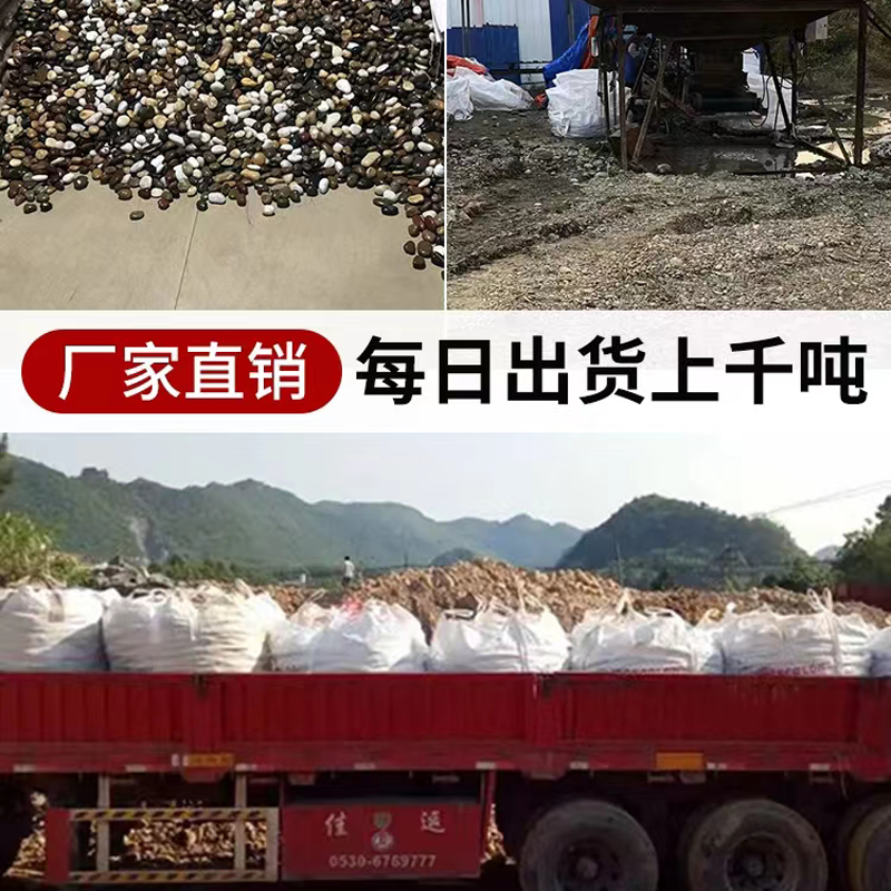 100斤精抛五彩鹅卵石庭院铺路石头园艺装饰抛光雨花石