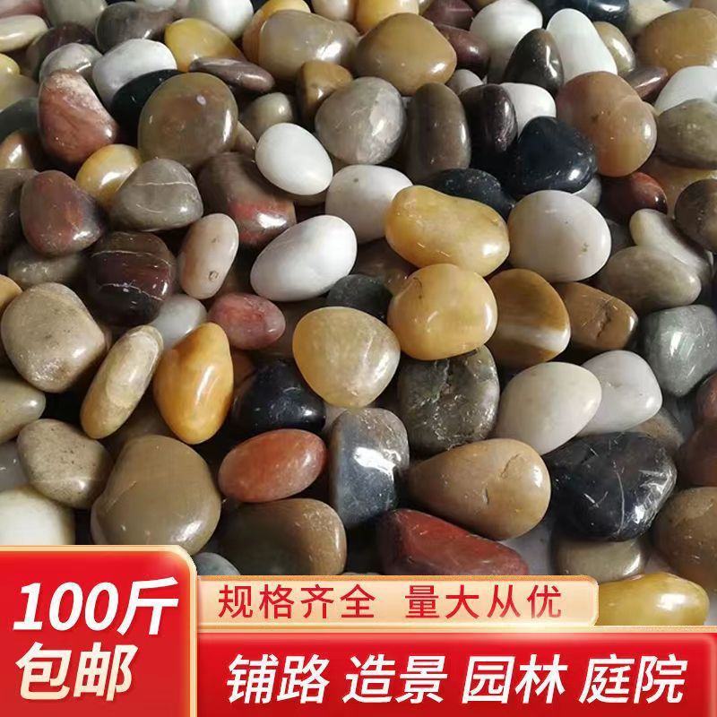 100斤精抛五彩鹅卵石庭院铺路石头园艺装饰抛光雨花石