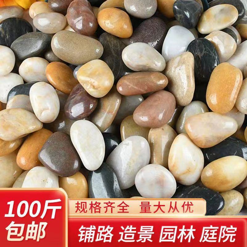 100斤精抛五彩鹅卵石庭院铺路石头园艺装饰抛光雨花石