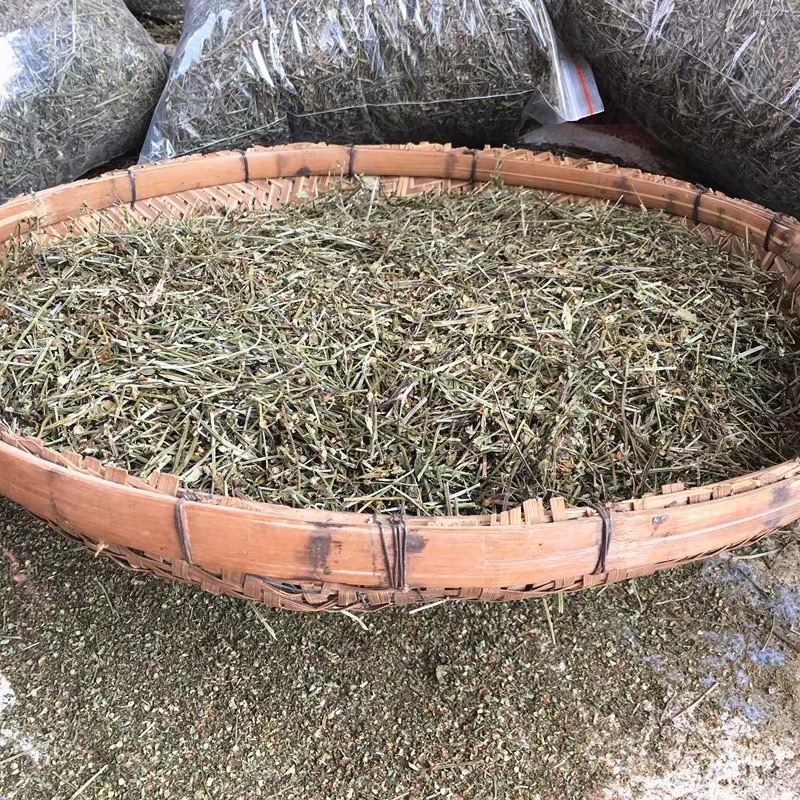 🔥新货半枝莲🔥道地产地直发量大从优全国发货