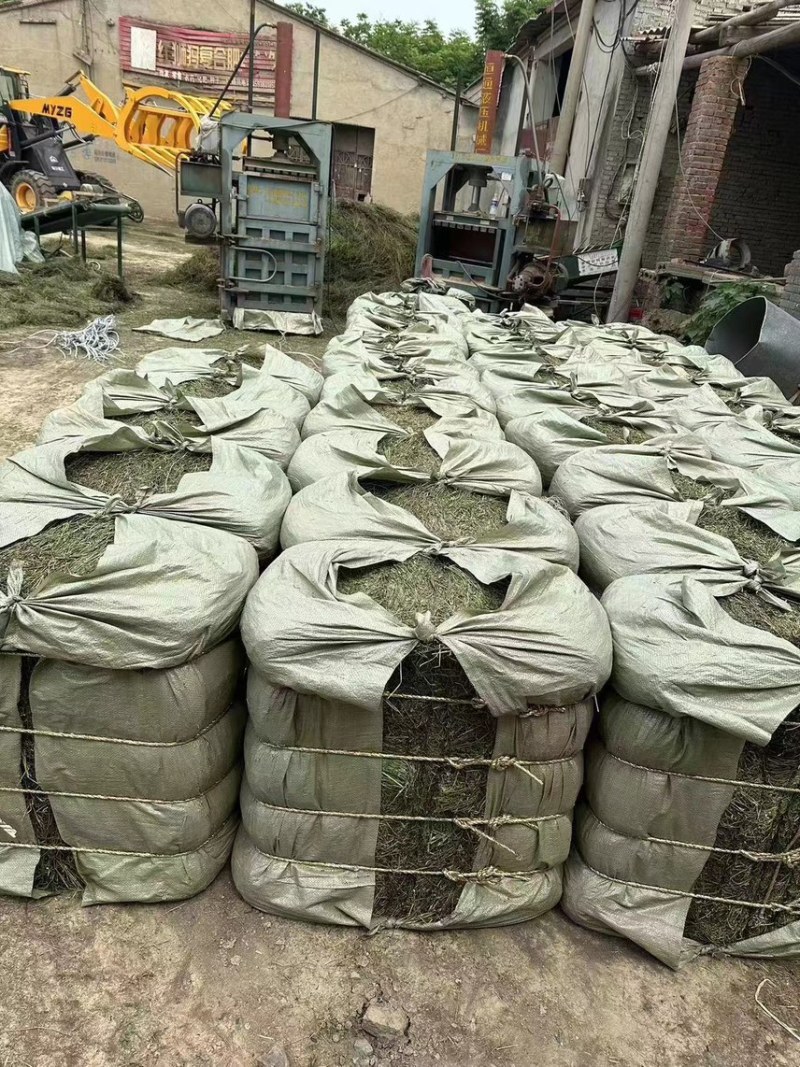 🔥新货半枝莲🔥道地产地直发量大从优全国发货